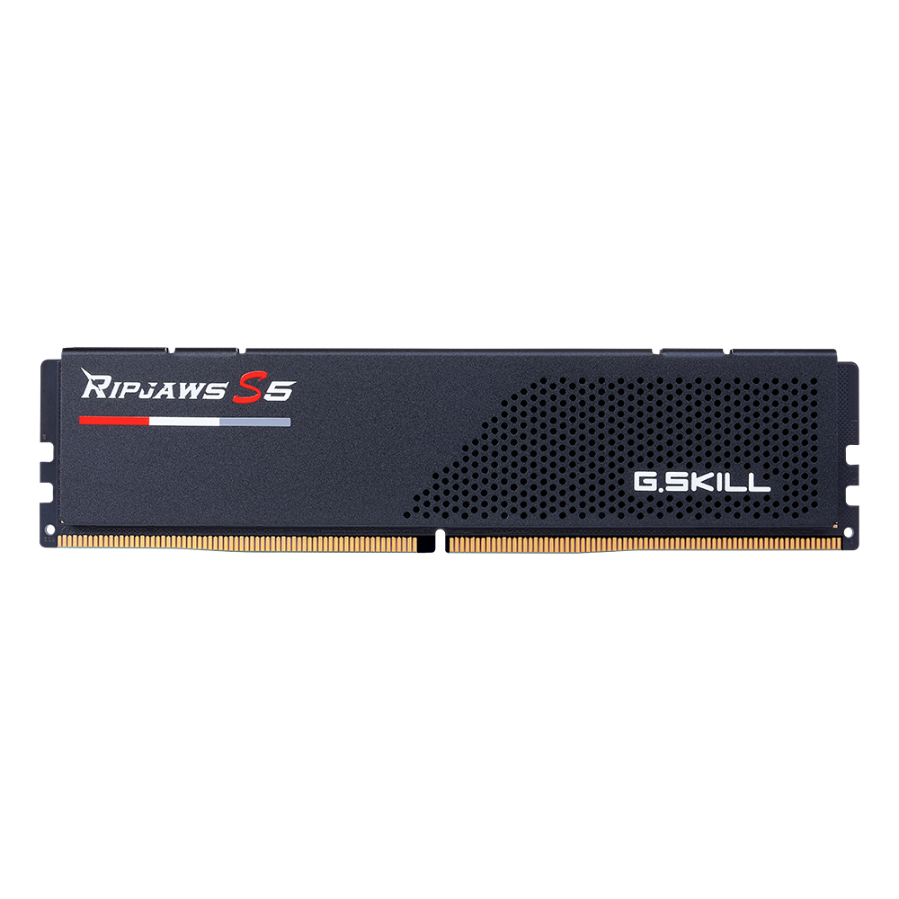 GSKILL Flare X5 16GB DDR5 6000Mhz CL38 EXPO/XMP Single Kit Kutusuz Ram